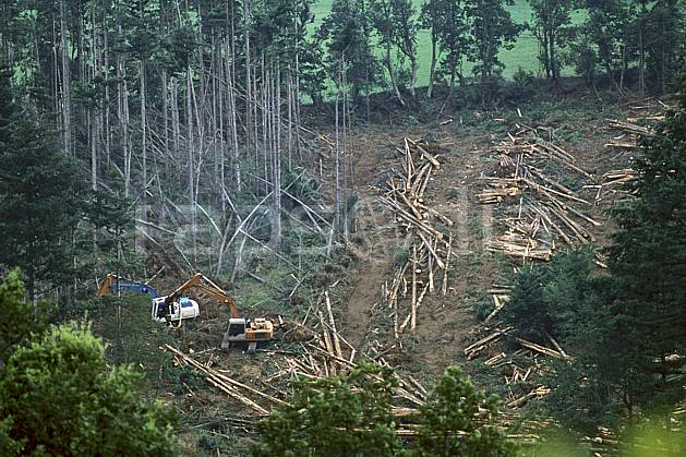 ae2893-15LE : Coupe de bois, Savoie, Alpes. Europe, CEE, tronc, C02, C01 arbre, environnement, forêt, habitation, moyenne montagne (France).