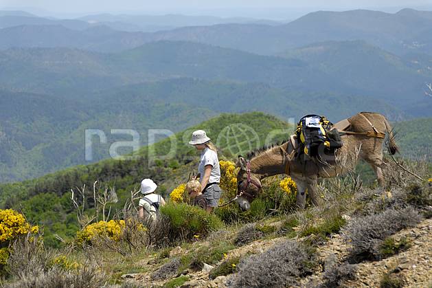 cs062427LE : Randonnée à dos d'âne, Massif des Cévennes, Gard. randonnée équestre Europe, CEE, loisir, action, randonnée équestre, randonnée, âne, C02, C01 enfant, famille, femme, moyenne montagne, paysage, personnage (France).