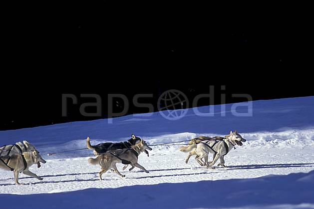 di0873-10LE : Chiens de traineau, Megève, Haute-Savoie, Alpes. chiens de traineaux Europe, CEE, sport, loisir, action, sport de montagne, amitié, chien, complicité, confiance, courir, entraide, C02, C01 faune, groupe, moyenne montagne, Annecy 2018 (France).