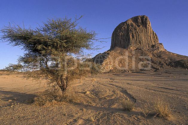 ea0351-37LE : Sahara, Massif du Hoggar, l'Iharem. Afrique, Afrique du nord, ciel bleu, falaise, C02, C01 arbre, désert, paysage, voyage aventure (Algérie).