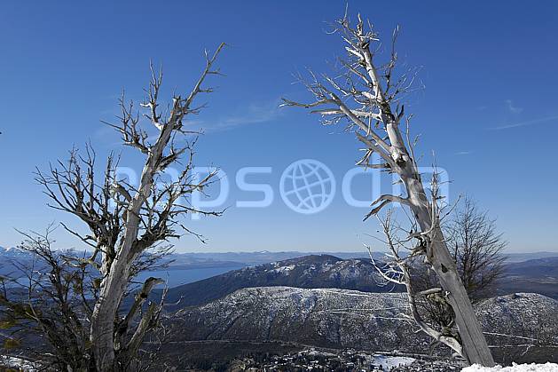 ea054829LE : Cerro Catedral, Bariloche, Patagonie. Amérique du sud, Amérique Latine, Amérique, C02, C01 arbre, lac, moyenne montagne, paysage, voyage aventure (Argentine).