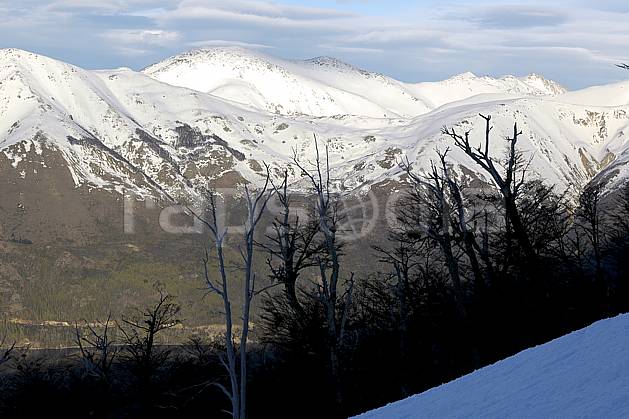 ea054839LE : Cerro Catedral, Bariloche, Patagonie. Amérique du sud, Amérique Latine, Amérique, C02, C01 arbre, moyenne montagne, paysage, voyage aventure (Argentine).