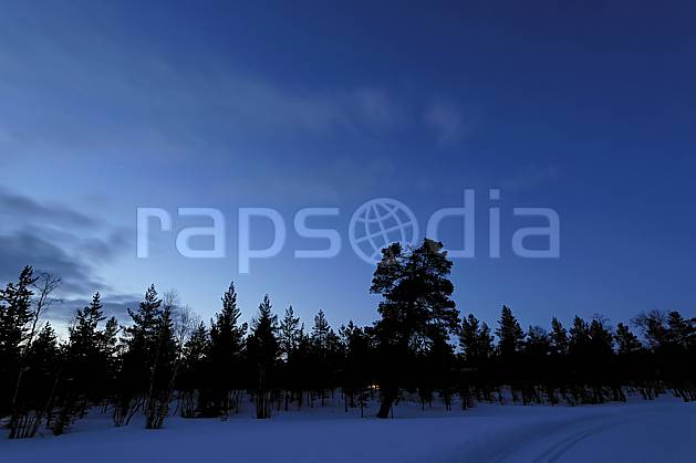 ea061430LE : Nuit en Laponie. Europe, CEE, nuit, lumière, C02, C01 forêt, paysage, voyage aventure (Finlande).