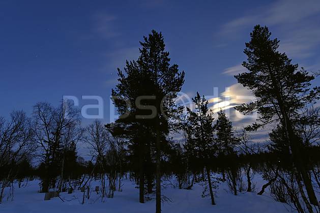 ea061431LE : Nuit en Laponie. Europe, CEE, nuit, lumière, C02, C01 forêt, paysage, voyage aventure (Finlande).
