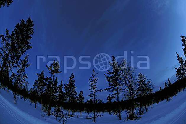ea061434LE : Nuit en Laponie. Europe, CEE, nuit, lumière, C02, C01 arbre, forêt, paysage, voyage aventure (Finlande).