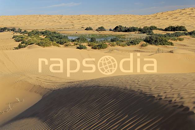 ea063656LE : Désert du Sud Tunisien, au sud de Douz, Oasis, lac au milieu des dunes. Afrique, Afrique du nord, dune, C02, C01 arbre, désert, lac, paysage, voyage aventure (Tunisie).