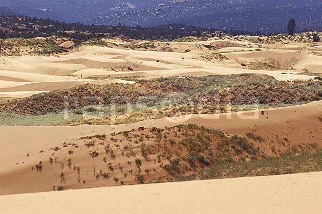 ea0660-09LE : Pink Sand Dune, Utha. Amérique du nord, buisson, dune, parc américain, C02, C01 désert, paysage, voyage aventure (Usa).