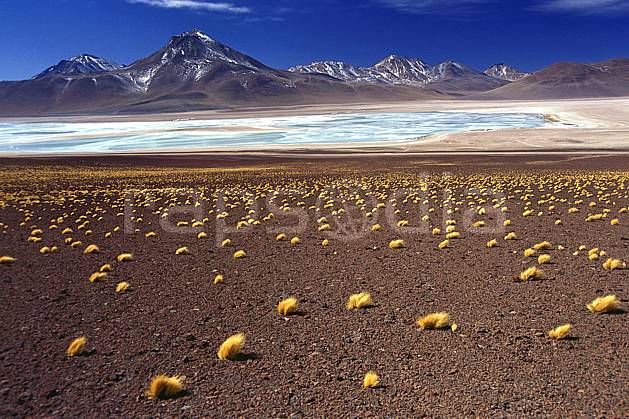 ea1225-31LE : Laguna Verde, Sud Lipez. Amérique du sud, Amérique Latine, Amérique, ciel bleu, laguna, lagune, C02, C01 désert, lac, paysage, voyage aventure (Bolivie).
