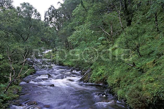 ea2066-29LE : Rivière, Highlands, Ecosse. Europe, CEE, écosse, C02, C01 arbre, paysage, rivière, voyage aventure (Royaume-Uni).