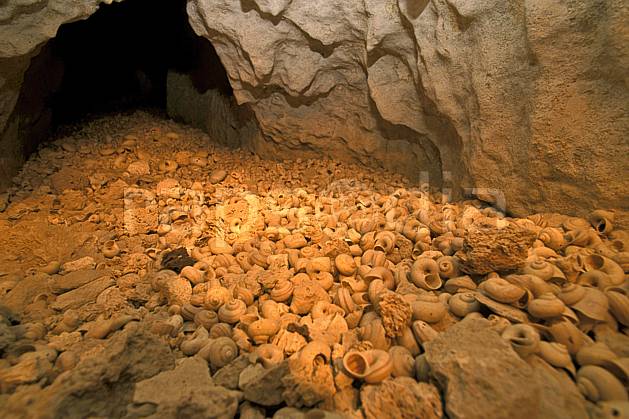 ea2273-10LE : Les Tsingy de Bemaraha. Afrique, Afrique de l'est, coquillage, C02, C01 paysage, voyage aventure (Madagascar).
