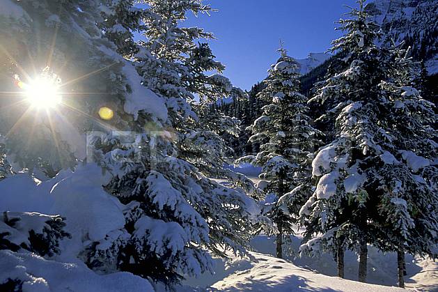 ea2373-36LE : Lake Louise, Alberta. Amérique du nord, Amérique, ciel bleu, sapin, C02, C01 arbre, forêt, paysage, soleil, voyage aventure (Canada).