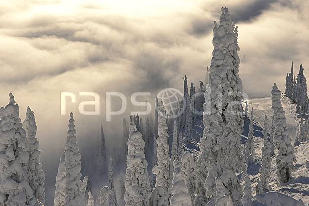 ea2603-33LE : Forêt enneigée, Colombie Britannique. Amérique du nord, Amérique, ciel nuageux, sapin, C02, C01 arbre, forêt, paysage, voyage aventure (Canada).