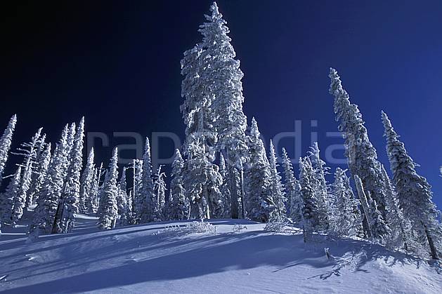 ea2605-15LE : Forêt enneigée, Colombie Britannique. Amérique du nord, Amérique, ciel bleu, sapin, C02, C01 arbre, forêt, paysage, voyage aventure (Canada).