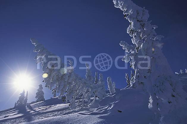 ea2606-15LE : Forêt enneigée, Colombie Britannique. Amérique du nord, Amérique, ciel bleu, sapin, C02, C01 arbre, paysage, soleil, voyage aventure (Canada).
