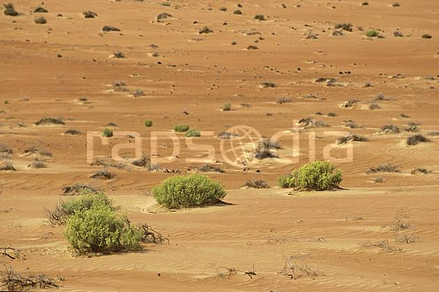 ea2849-06LE : Arabie Saoudite. Afrique, Moyen Orient, buisson, C02, C01 désert, paysage, voyage aventure (Arabie-Saoudite).