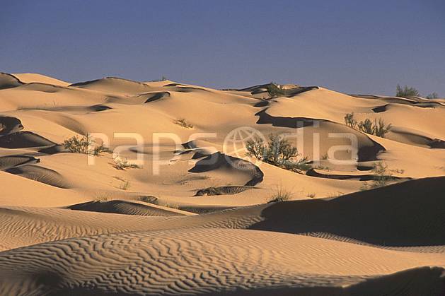 ea3068-25LE : Transfennec. quad, raids et orientation Afrique, Afrique du nord, sport, loisir, raid, action, sport mécanique, dune, C02, C01 désert, paysage, voyage aventure (Tunisie).
