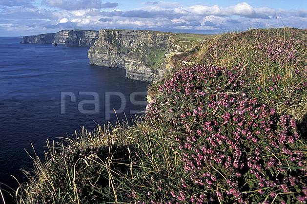 ea3177-05LE : Paysage d'Irlande, Cliffs of Moher. Europe, CEE, falaise, C02, C01 flore, mer, paysage, voyage aventure (Irlande).