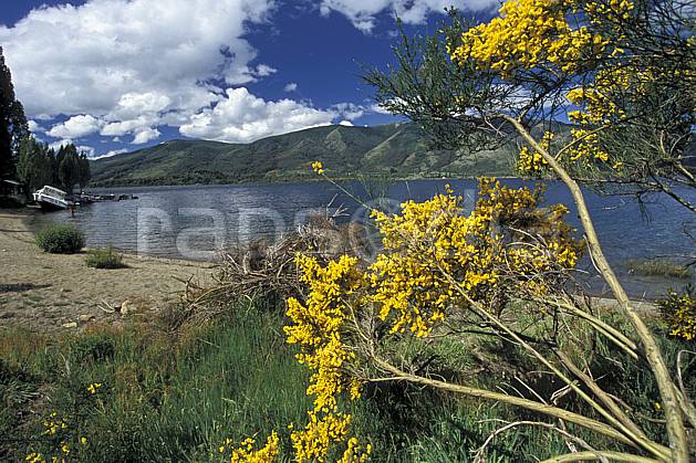 ea3183-01LE : Patagonie. Amérique du sud, Amérique Latine, Amérique, fleur, C02, C01 flore, lac, moyenne montagne, nuage, paysage, voyage aventure (Argentine).