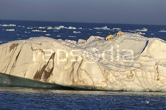 ec2773-13LE : Ours polaire femelle et son petit, Svalbard, Ile de Nordaustlandet côte sud. Europe, CEE, ciel voilé, iceberg, ours, C02, C01 faune, paysage, voyage aventure, mer (Norvège).