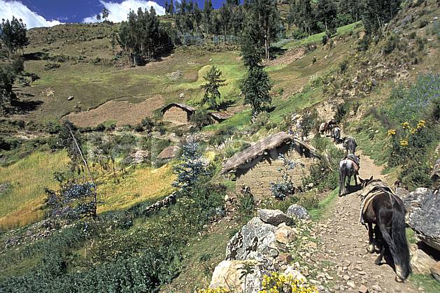 ee2711-16LE : Village au dessus de Chavin. South America, Latin America, grass, donkey environment, fauna, habitation, people, adventure trip (Peru).