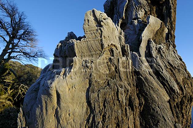fa054736LE : San Carlos de Bariloche, Patagonie. Amérique du sud, Amérique Latine, Amérique, tronc, écorce, C02, C01 moyenne montagne, paysage, textures et fonds, voyage aventure (Argentine).