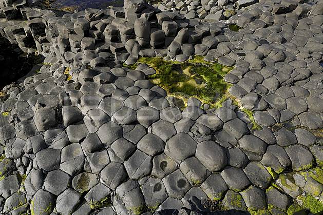 fa071901LE : Orgues basaltiques, Giant's Causeway (Chaussée des Géants), Ulster (Irlande du Nord). Europe, CEE, littoral, orgue, de, basalte, pierre, mousse, C02 mer (Irlande Royaume-Uni).
