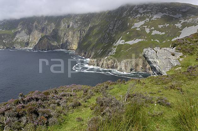 ha072013LE : Bruyères et falaises de Slieve League, Donegal. Europe, CEE, littoral, falaise, C02 mer, nuage, paysage (Irlande).
