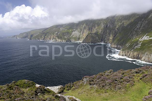 ha072014LE : Bruyères et falaises de Slieve League, Donegal. Europe, CEE, littoral, falaise, C02 mer, nuage, paysage (Irlande).