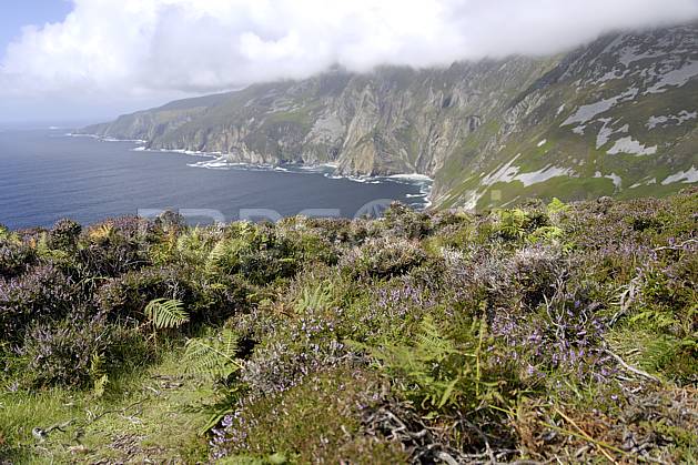 ha072015LE : Bruyères et falaises de Slieve League, Donegal. Europe, CEE, littoral, C02 mer, nuage, paysage (Irlande).