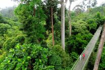 Borneo, exploring to both extremes 
